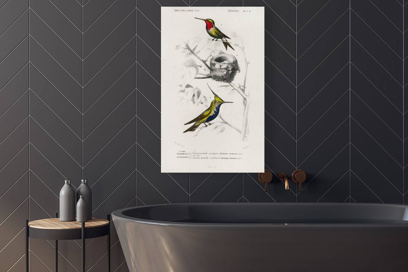 Different types of birds Reproduction