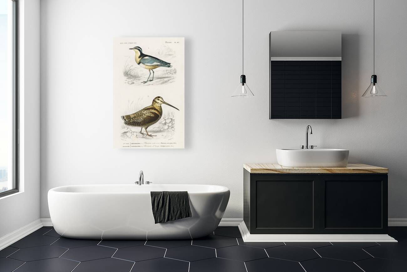 Different types of birds Reproduction