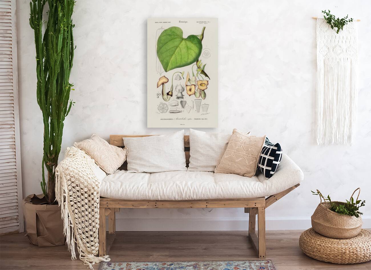 Pipevine Reproduction