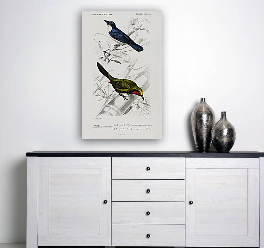 Different types of birds Reproduction