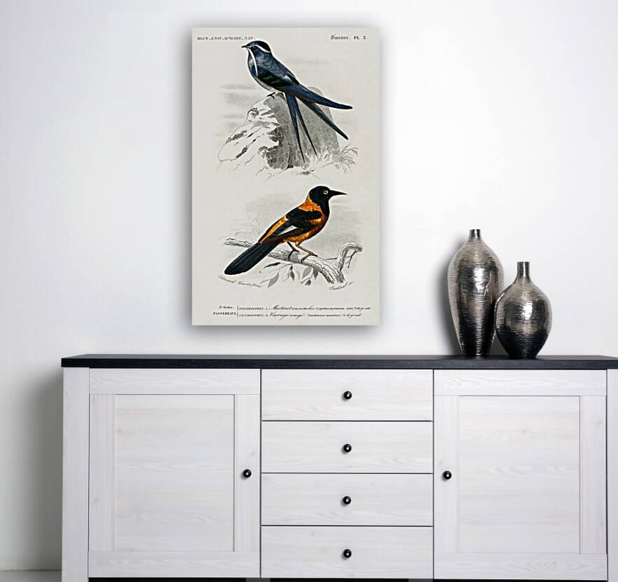 Different types of birds Reproduction