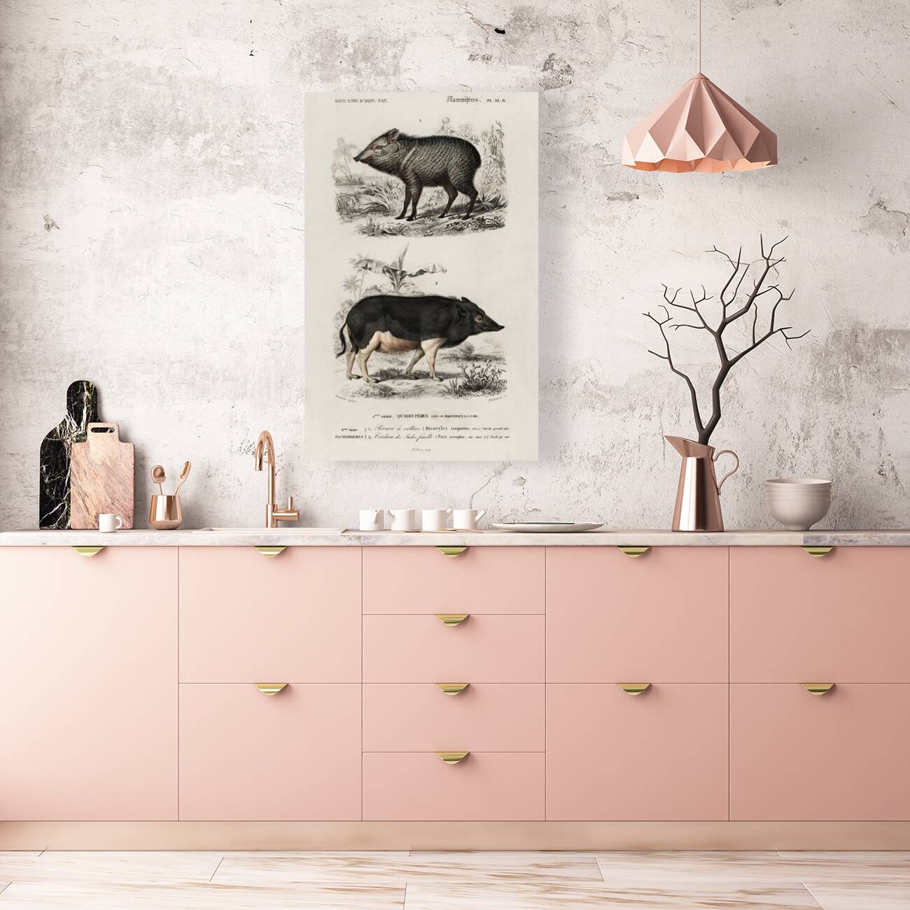 Pecari and Sus scropha Reproduction