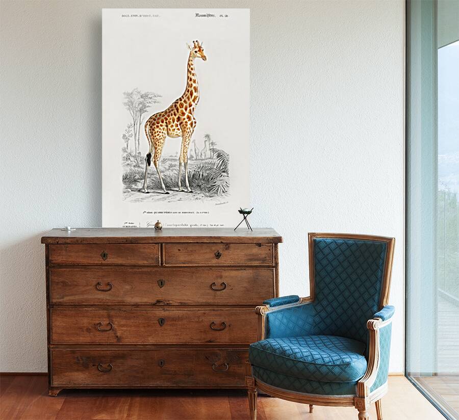 Vintage giraffe poster Reproduction