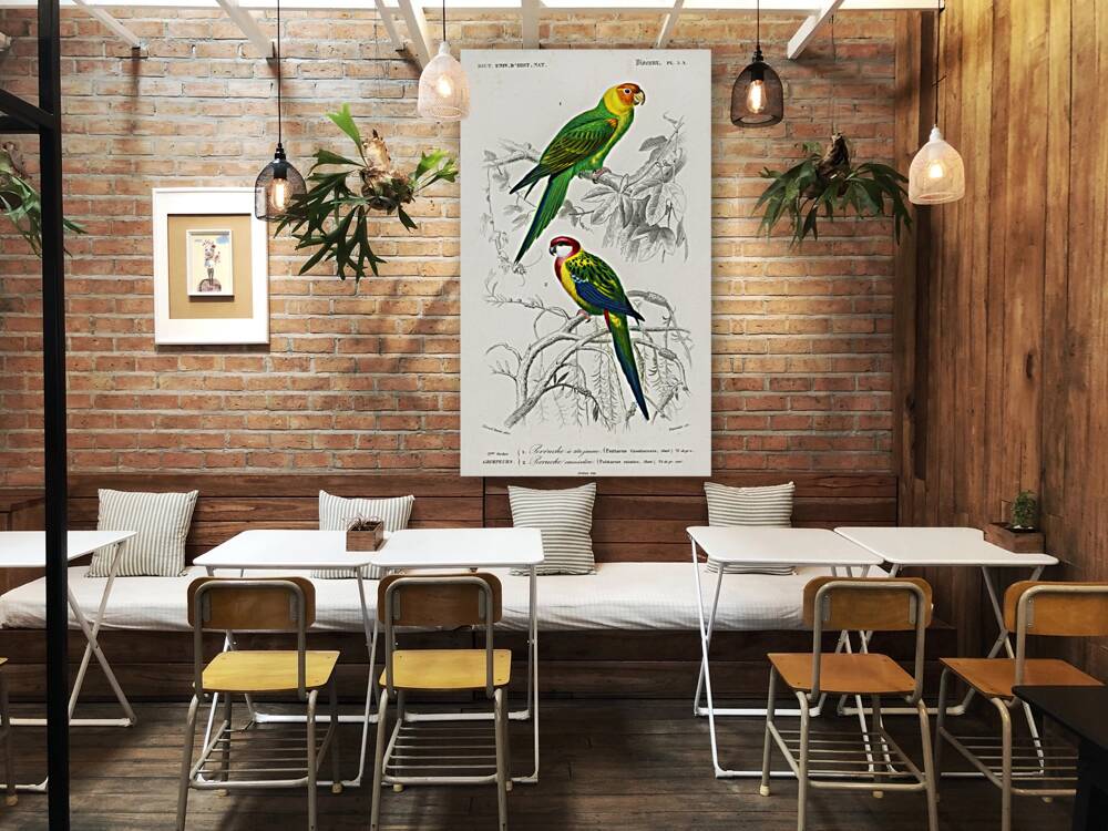 Different types of birds Reproduction