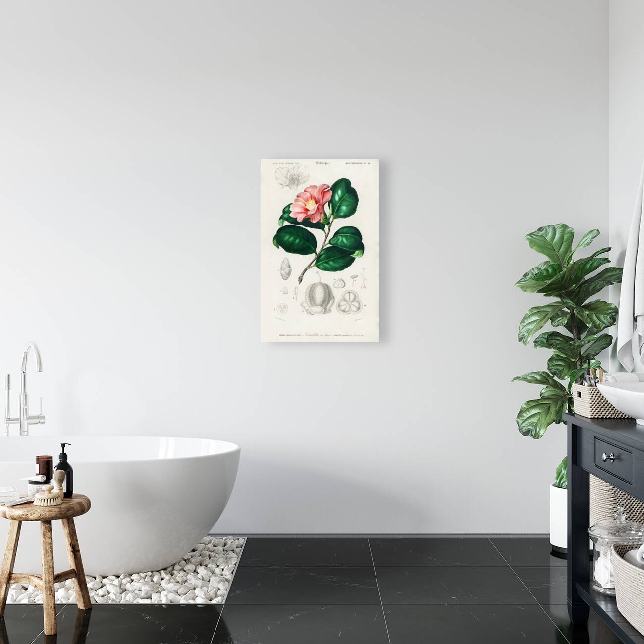 Eastern dobsonfly Corydalus cornutus Reproduction