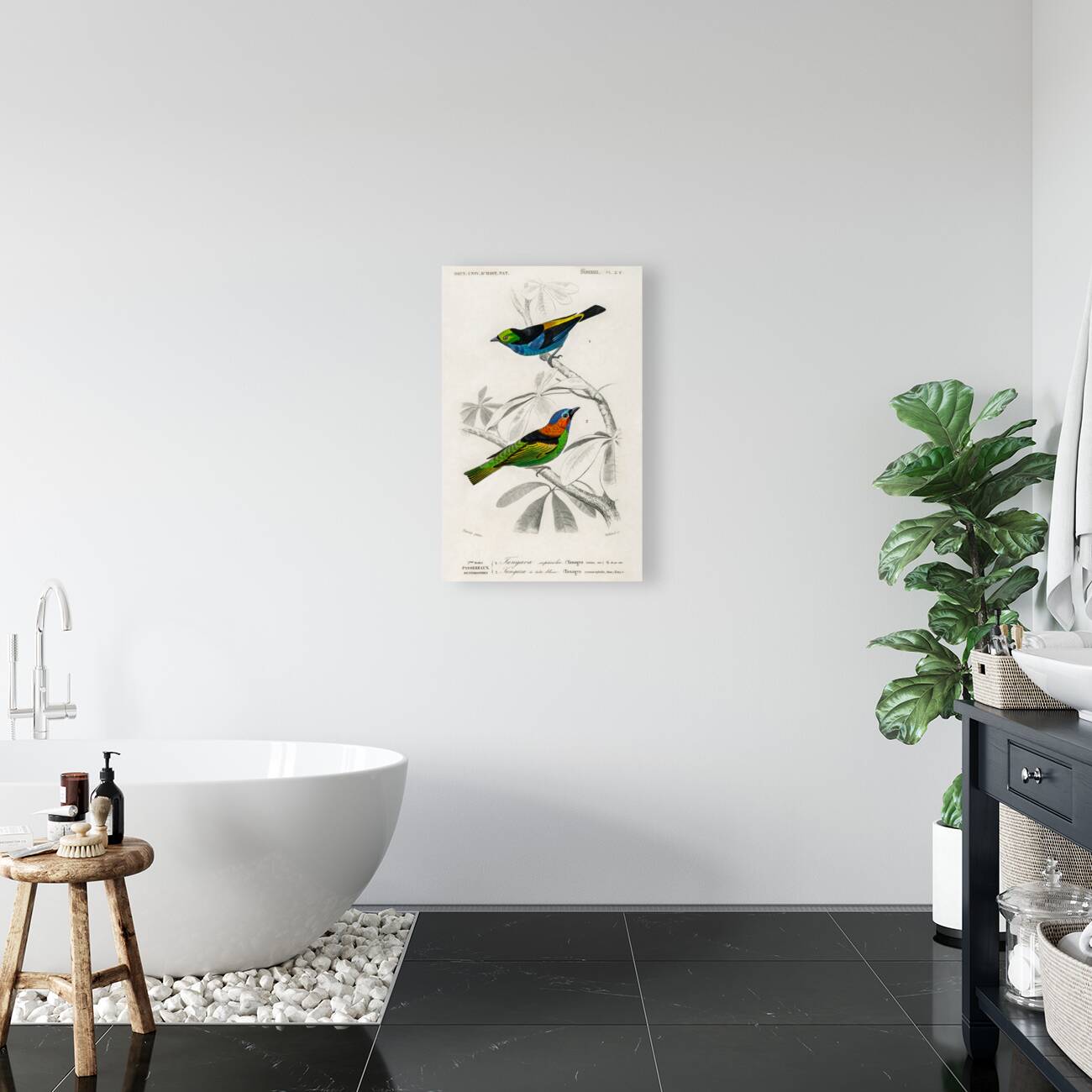 Different types of birds Reproduction