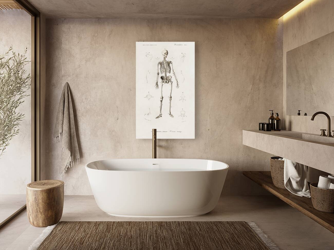 Different types of weevils Reproduction