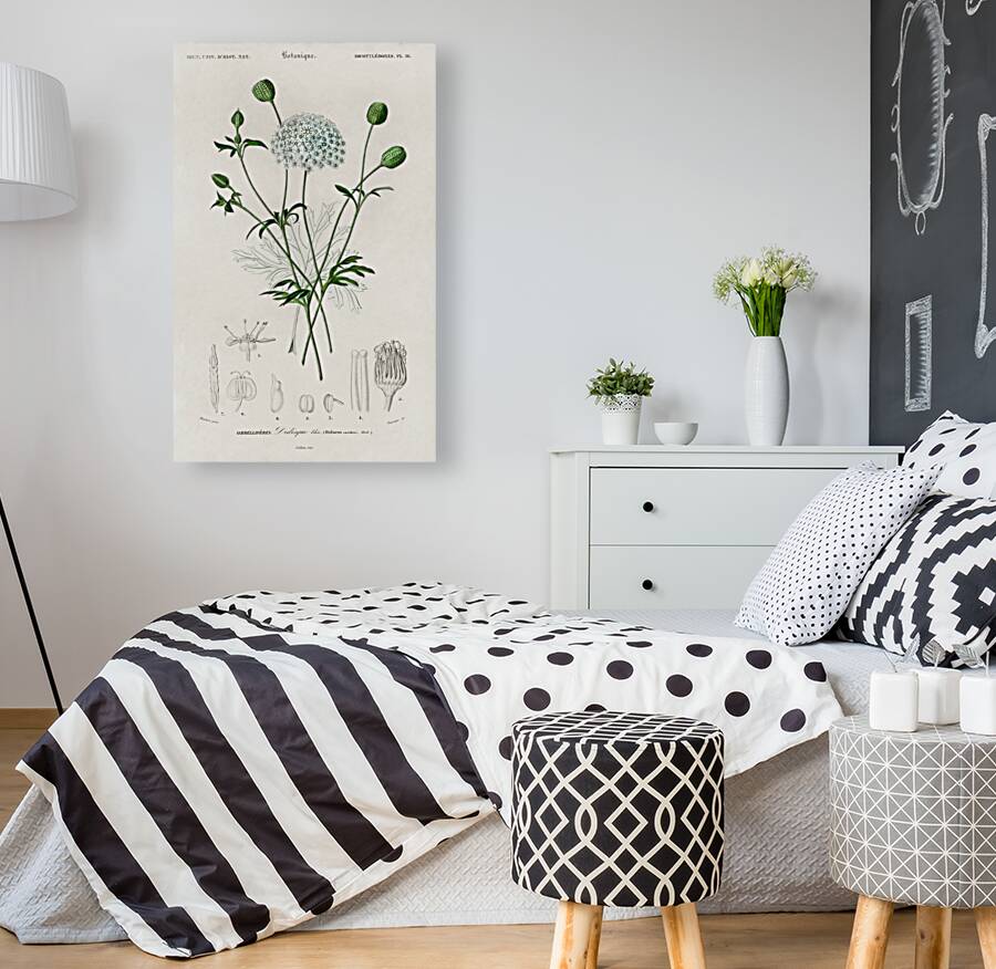 ictionnaire Universel D histoire Naturelle D Orbi 1694478892.938 Reproduction