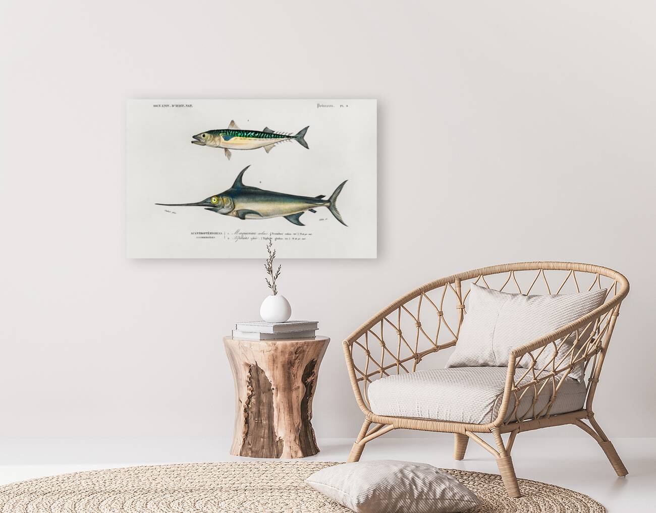 Different types of beetles Reproduction