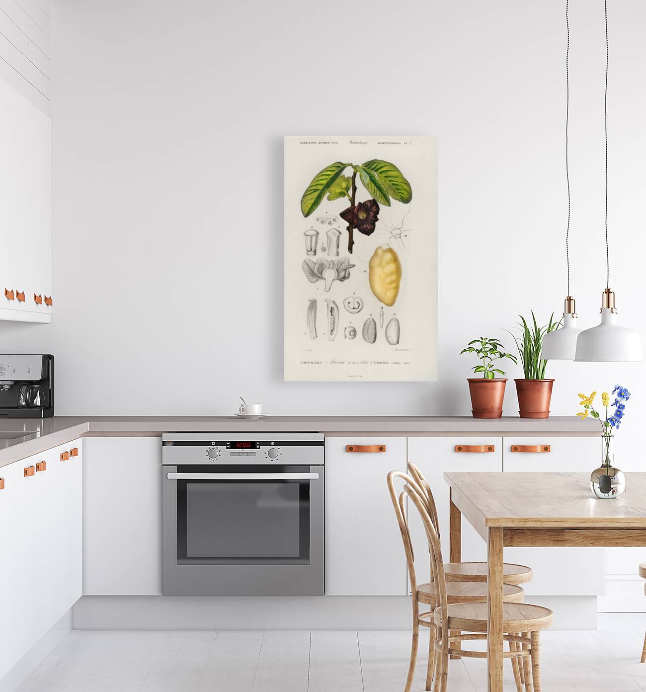 Asimina triloba Reproduction