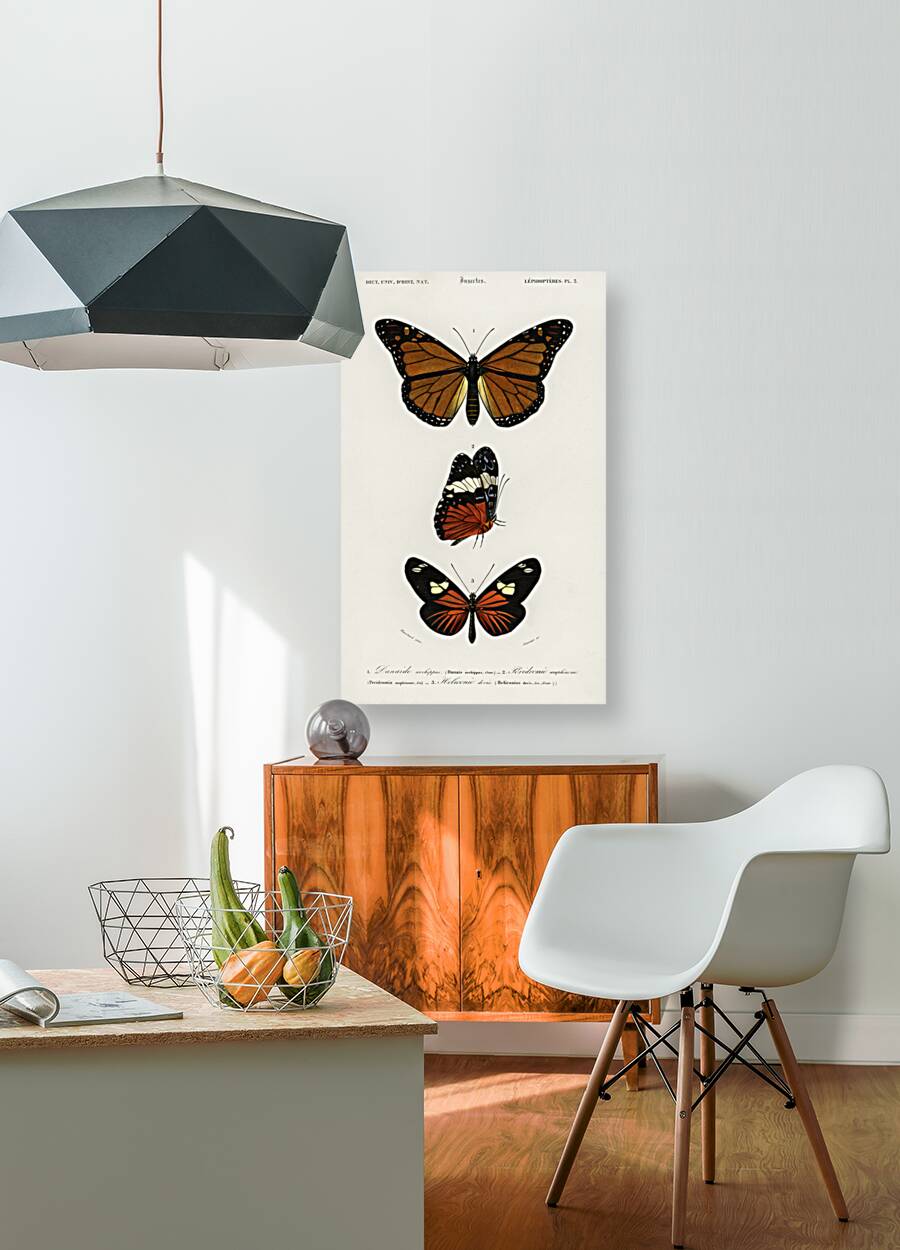 Amphisbaena fuliginosa spotted worm lizard Typhlops lumbricalis blind snakes Vropeltis Philippinus shield tail snakes Reproduction