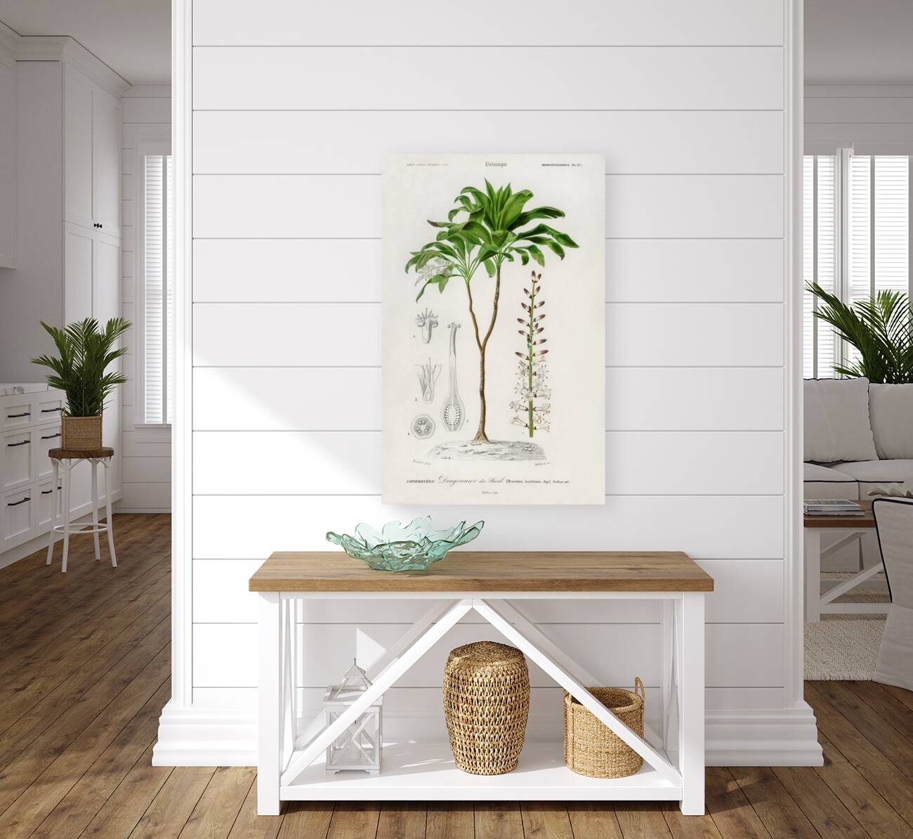 Dracaena brasiliensis Reproduction