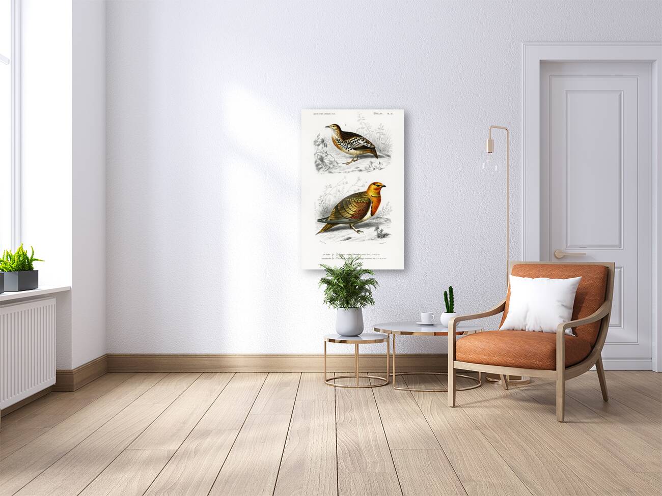 Different types of birds Reproduction