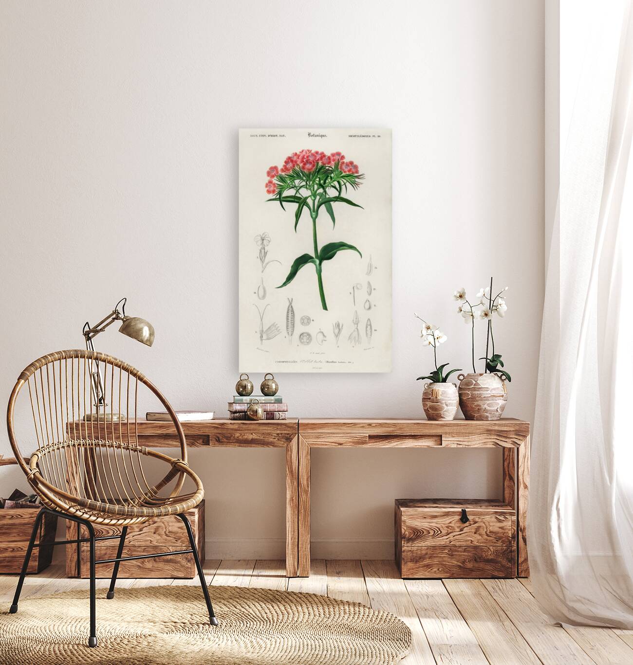 Brazilian gloxinia or Florist gloxinia Gloxinia caulescente Reproduction