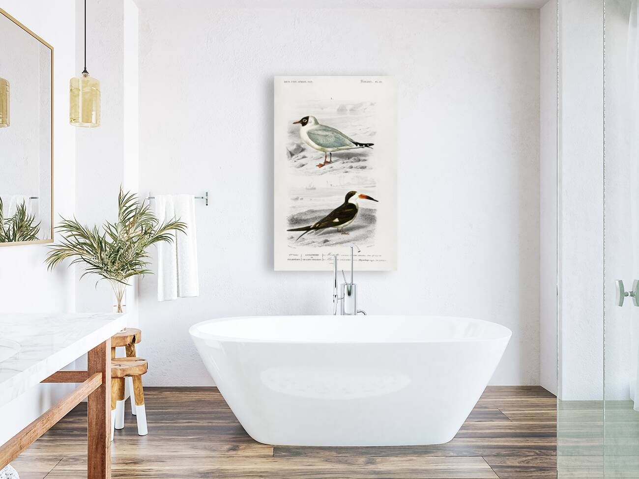 Different types of birds Reproduction