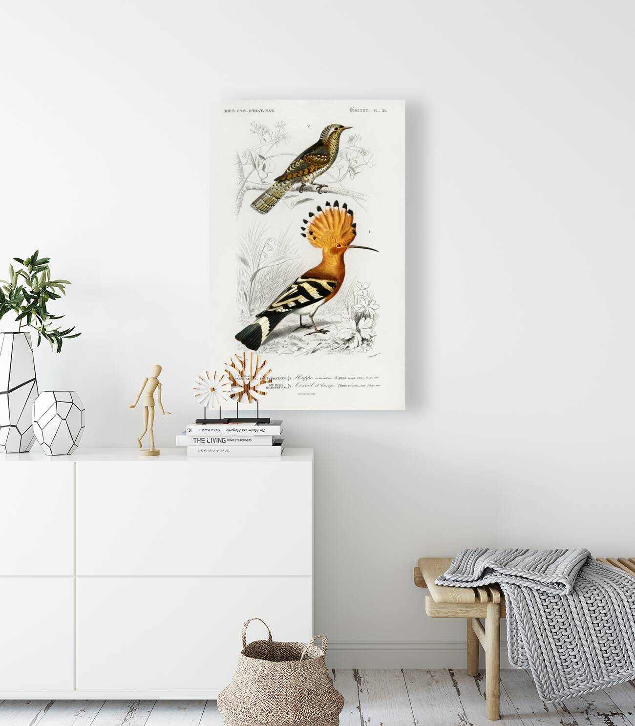 Different types of birds Reproduction