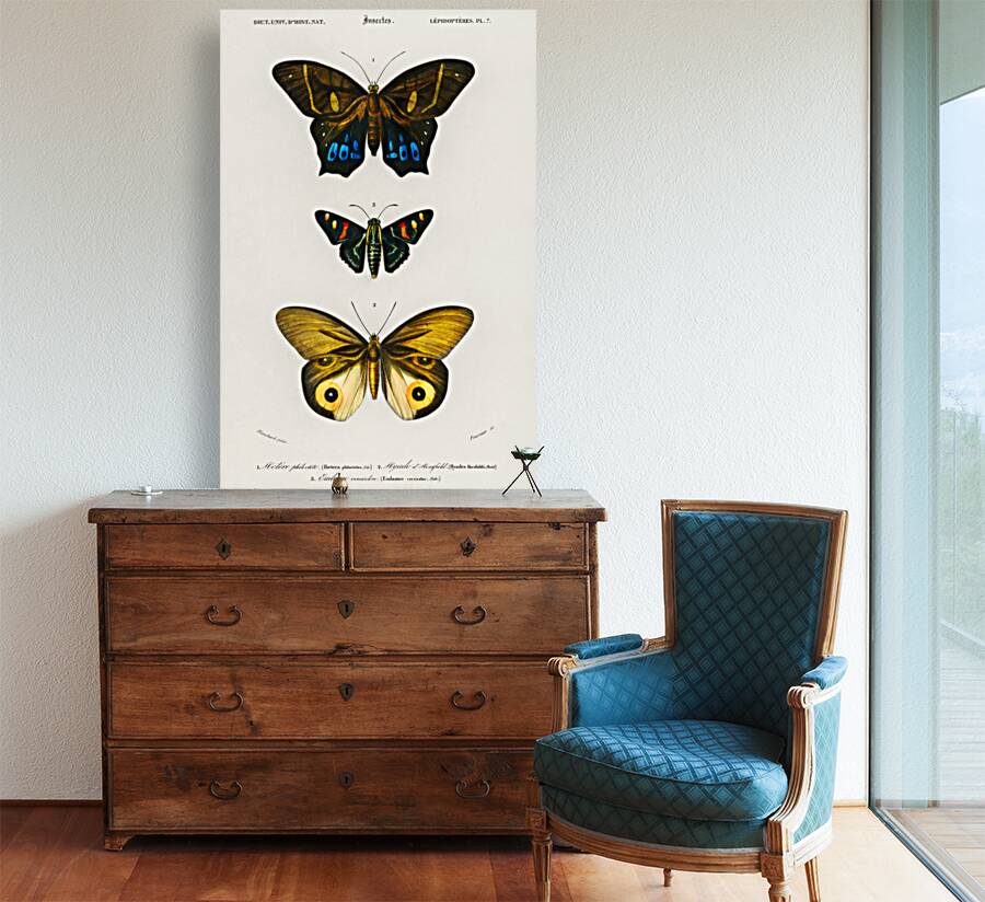 Different types of butterfly Reproduction