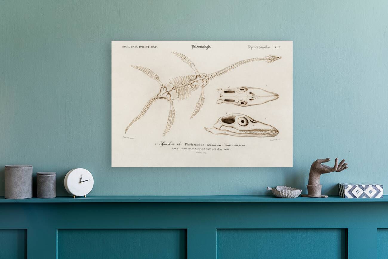 Plesiosaurus Reproduction