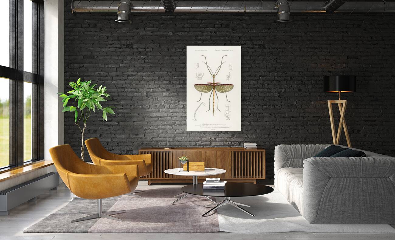 Cyphocrana titan Reproduction