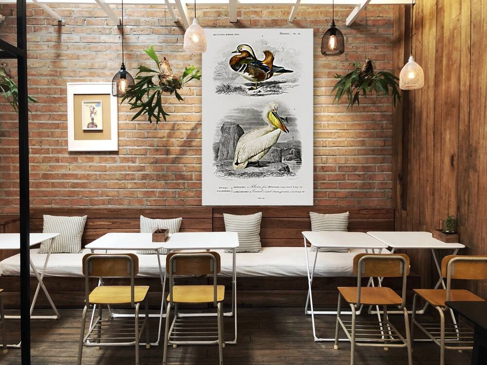 Different types of birds Reproduction