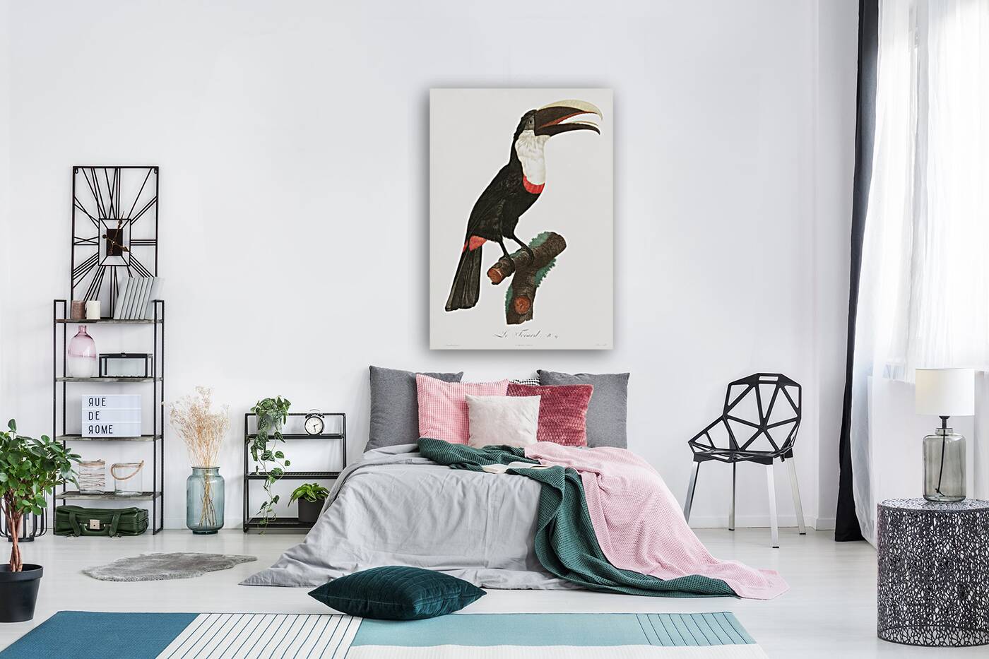 Toco toucan  Reproduction