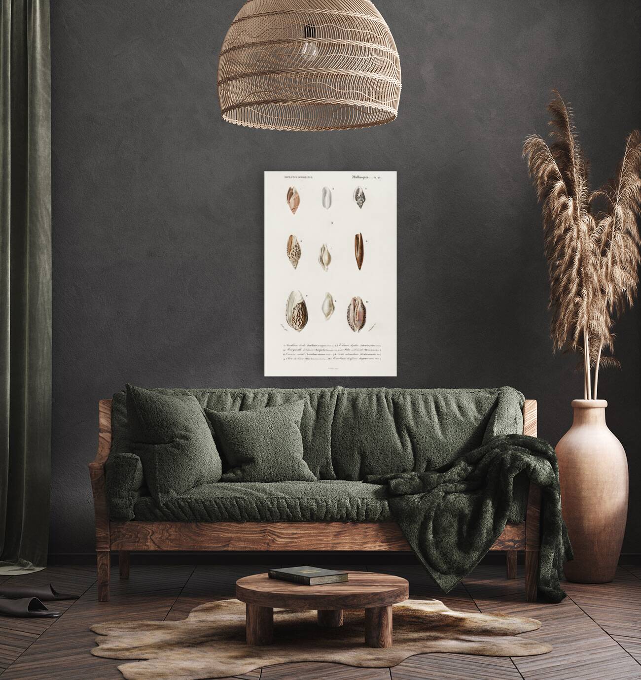 Different types of mollusks Reproduction