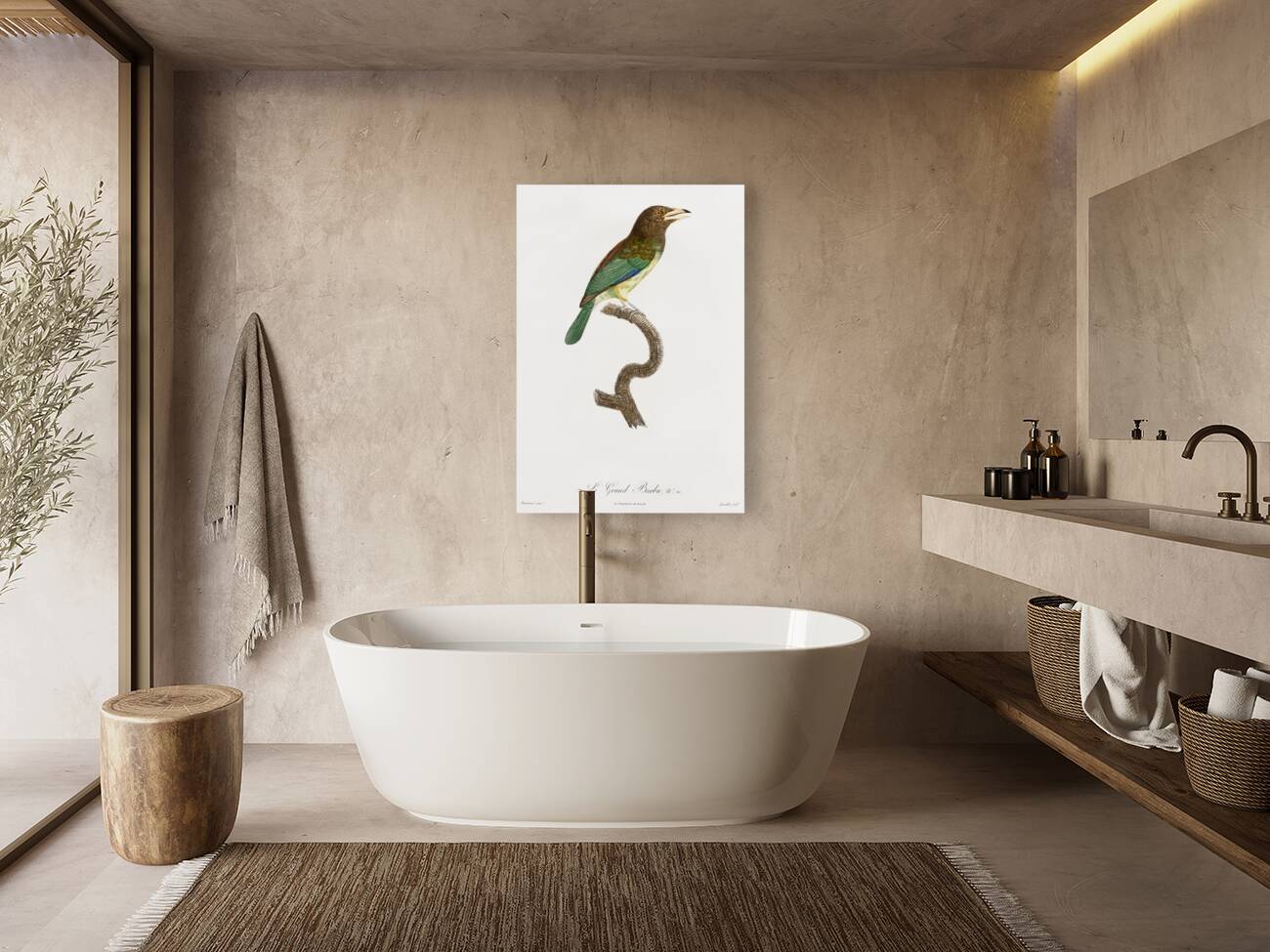 Great barbet  Reproduction