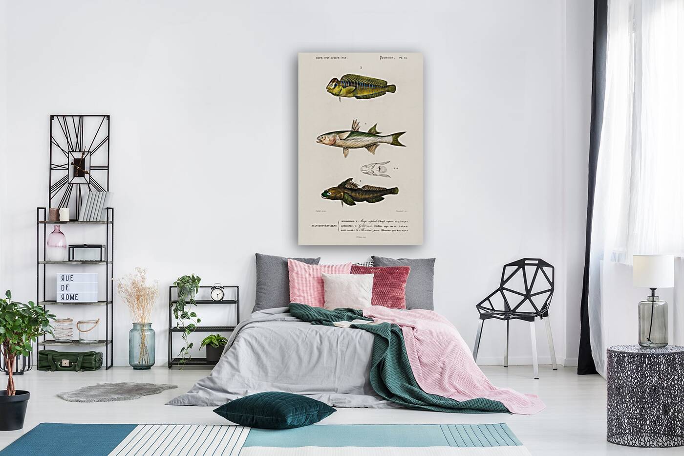 Different types of fishes Reproduction