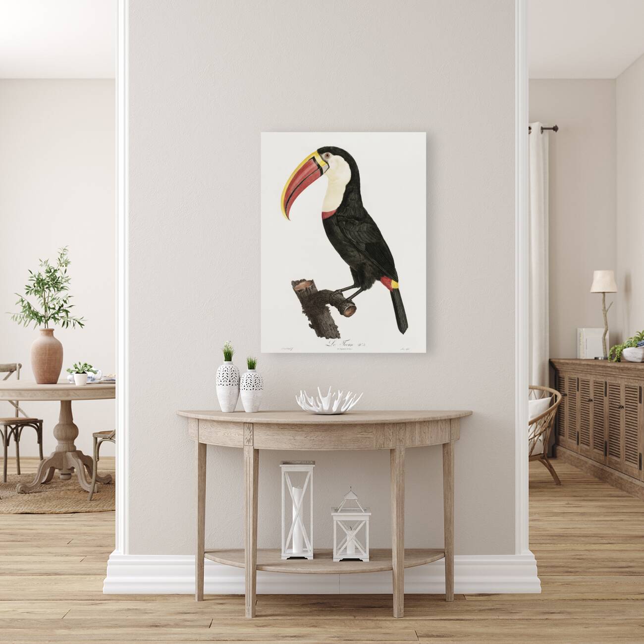 Toucan Reproduction
