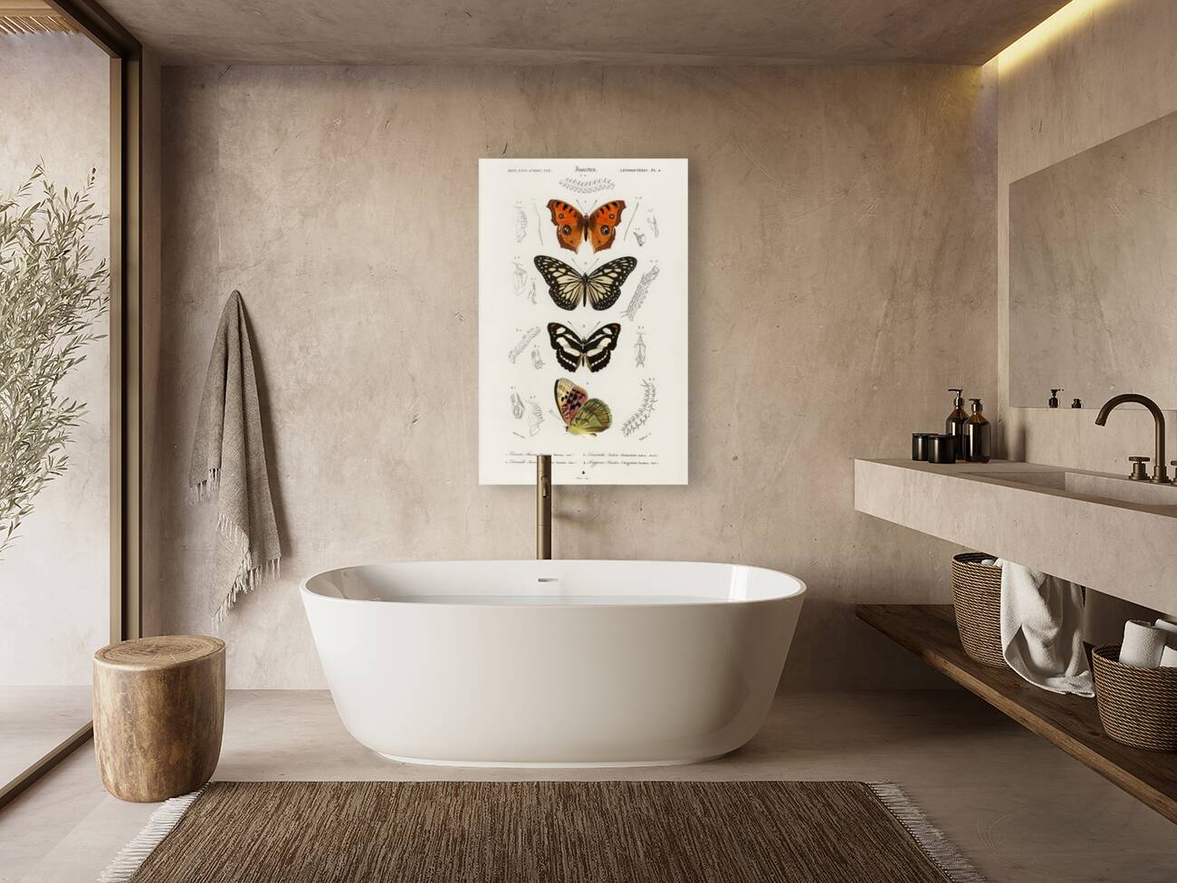 Collection of butterflies Reproduction