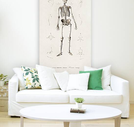 Collection of butterflies Reproduction