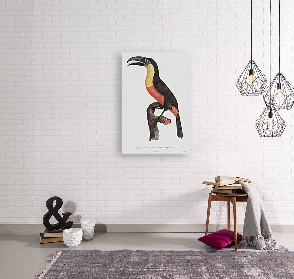 Green-billed toucan  Reproduction