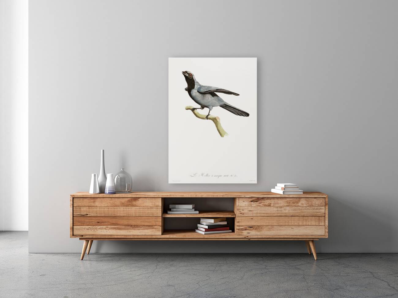 Pterosaur Pterodactylus Reproduction