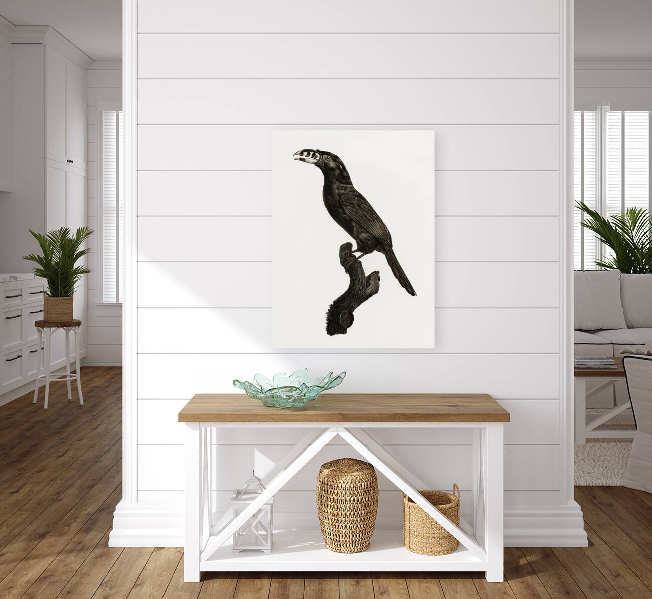 Black-necked Aracari male  Reproduction