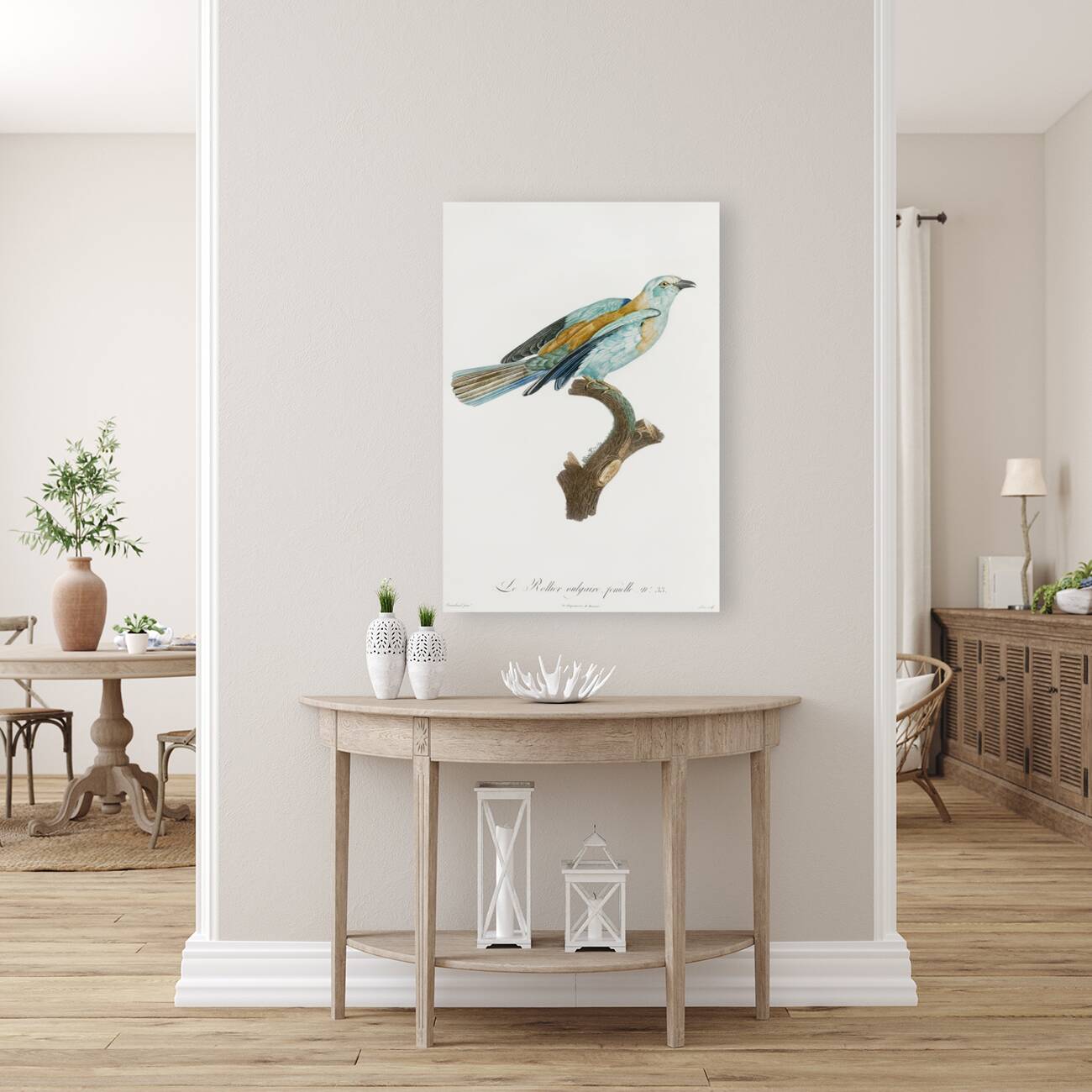 Abyssinian roller female Reproduction