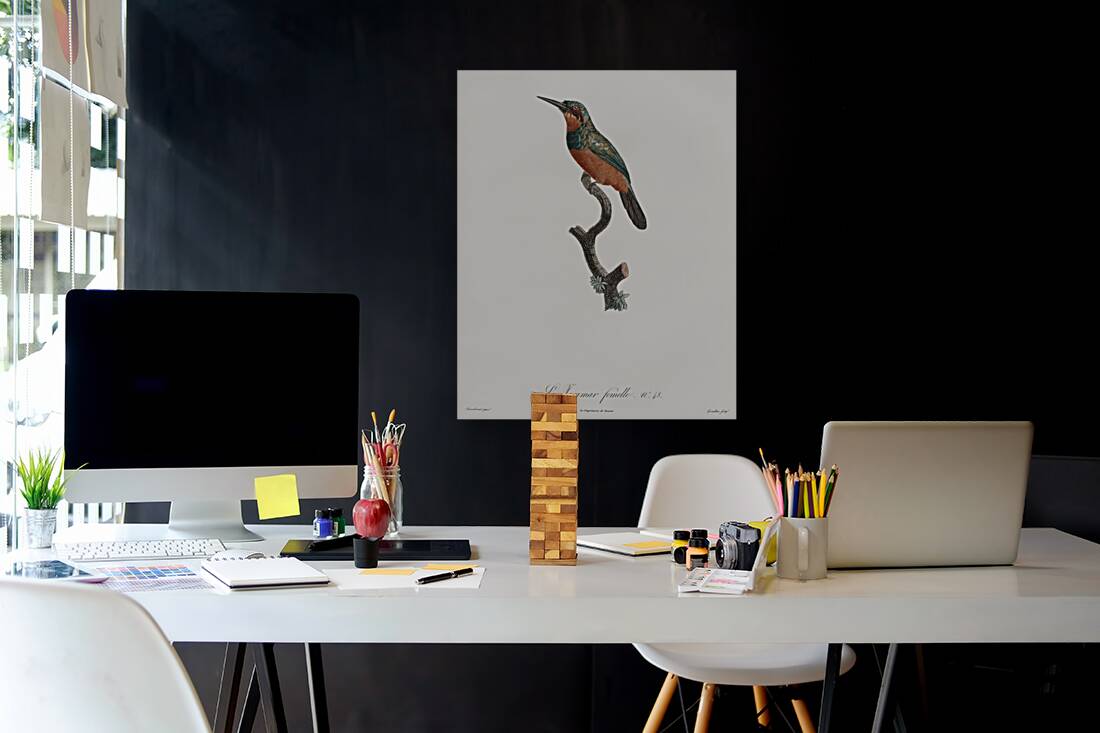 Green-tailed Jacamarfemale Reproduction