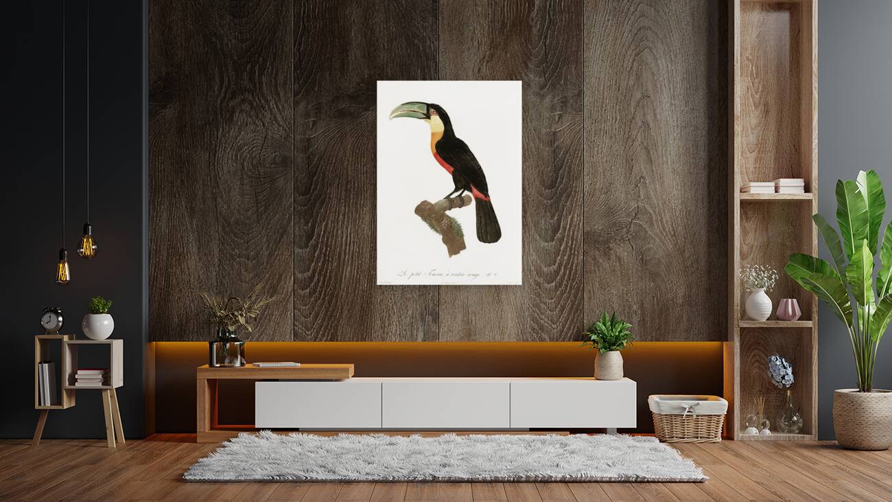 Red-billed Toucan Reproduction