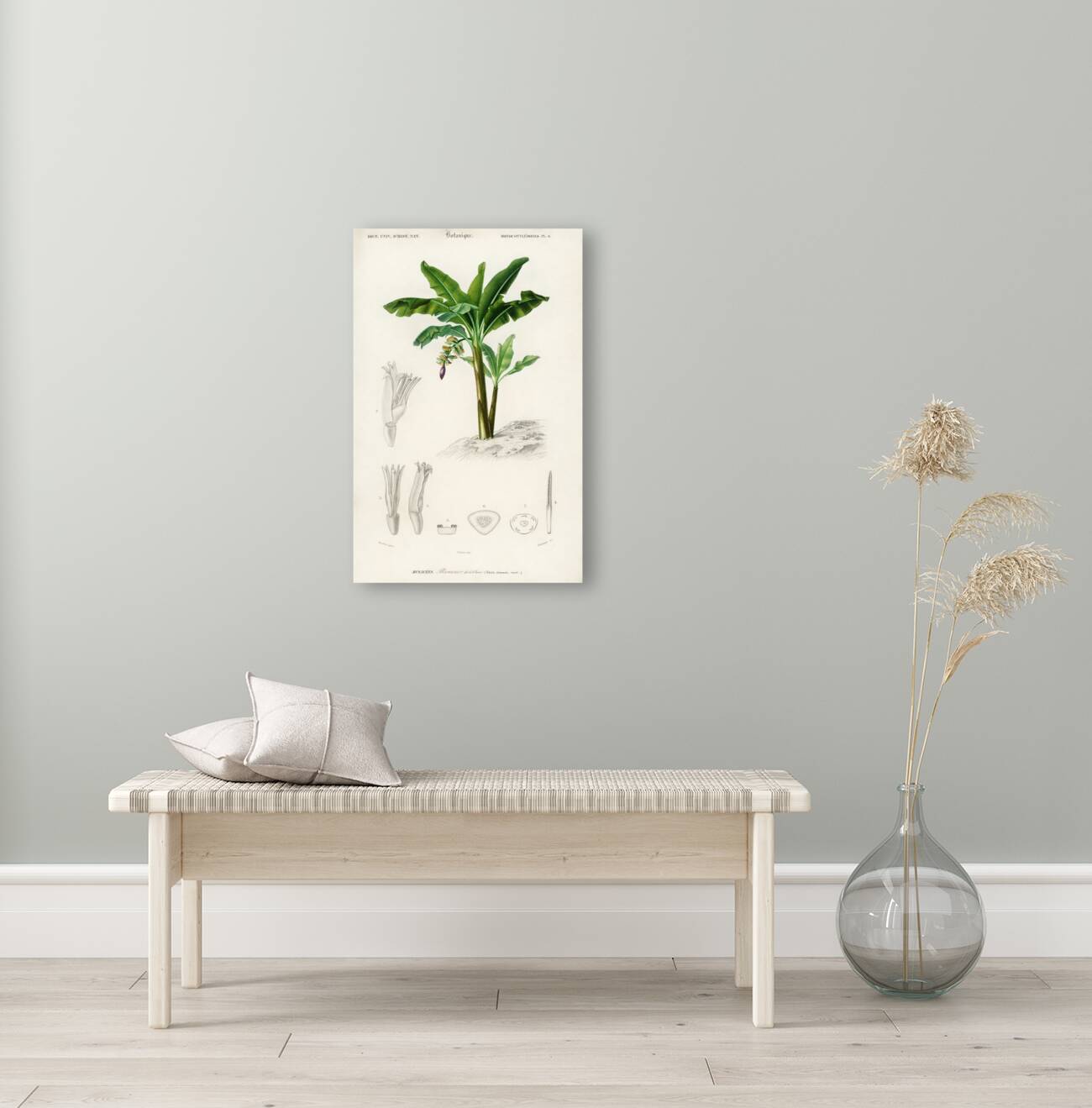 Eurasian Jay  Reproduction