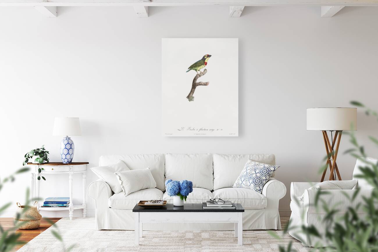 Coppersmith barbet  Reproduction