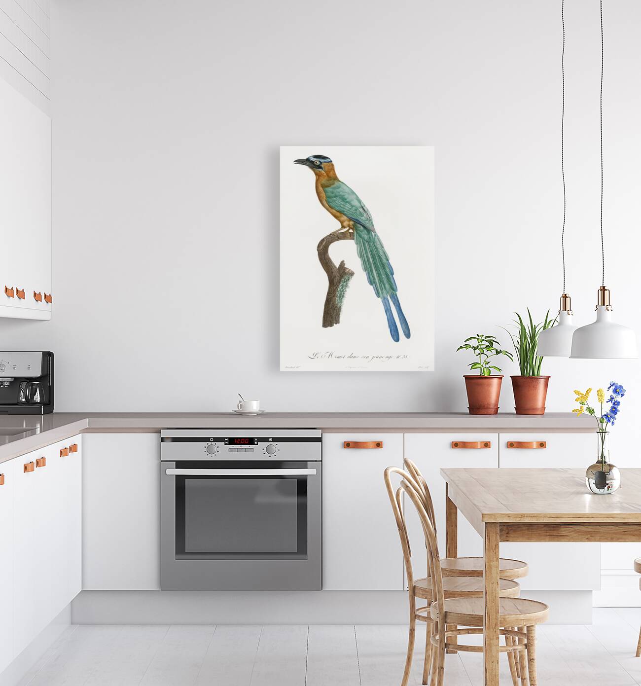 Young motmot  Reproduction