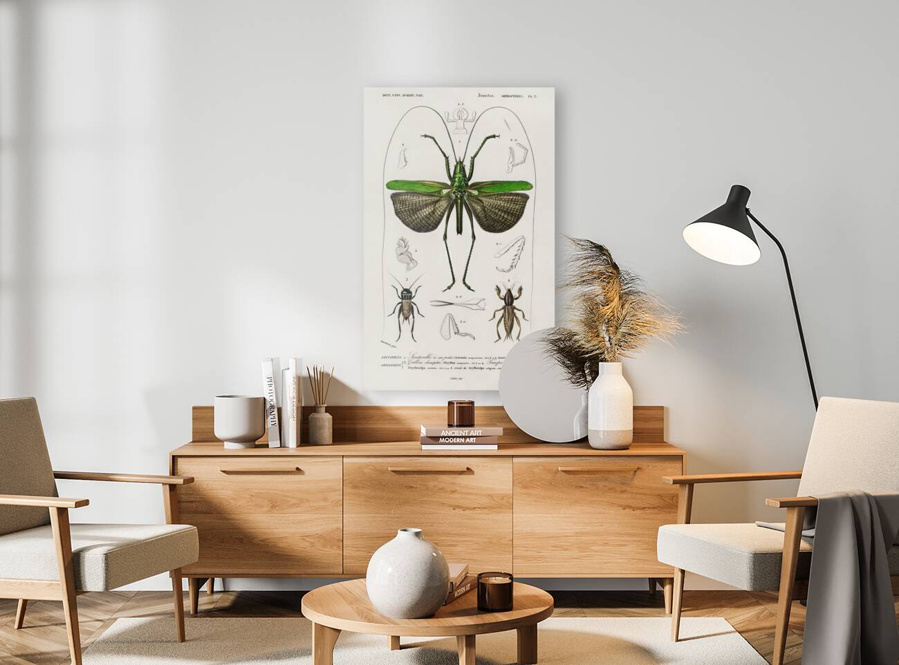 Blue Jay  Reproduction