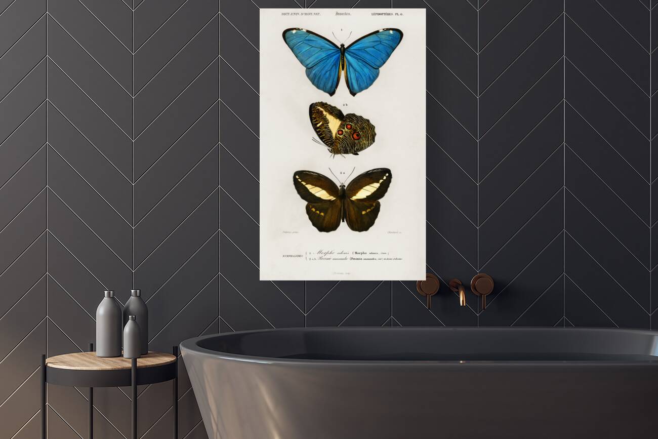 Different types of butterfly Reproduction