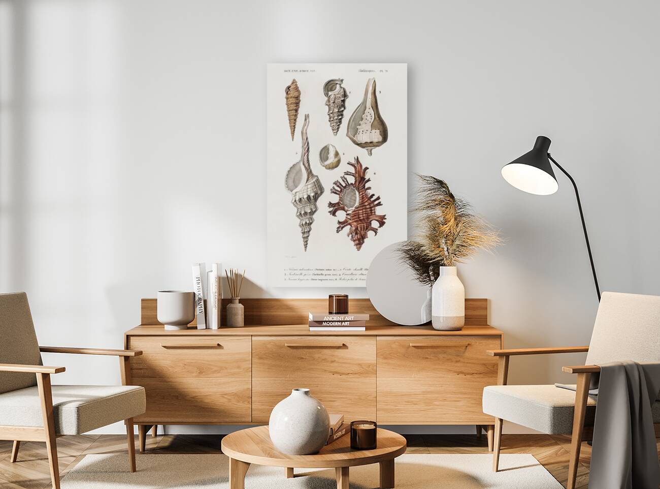 Different types of mollusks Reproduction