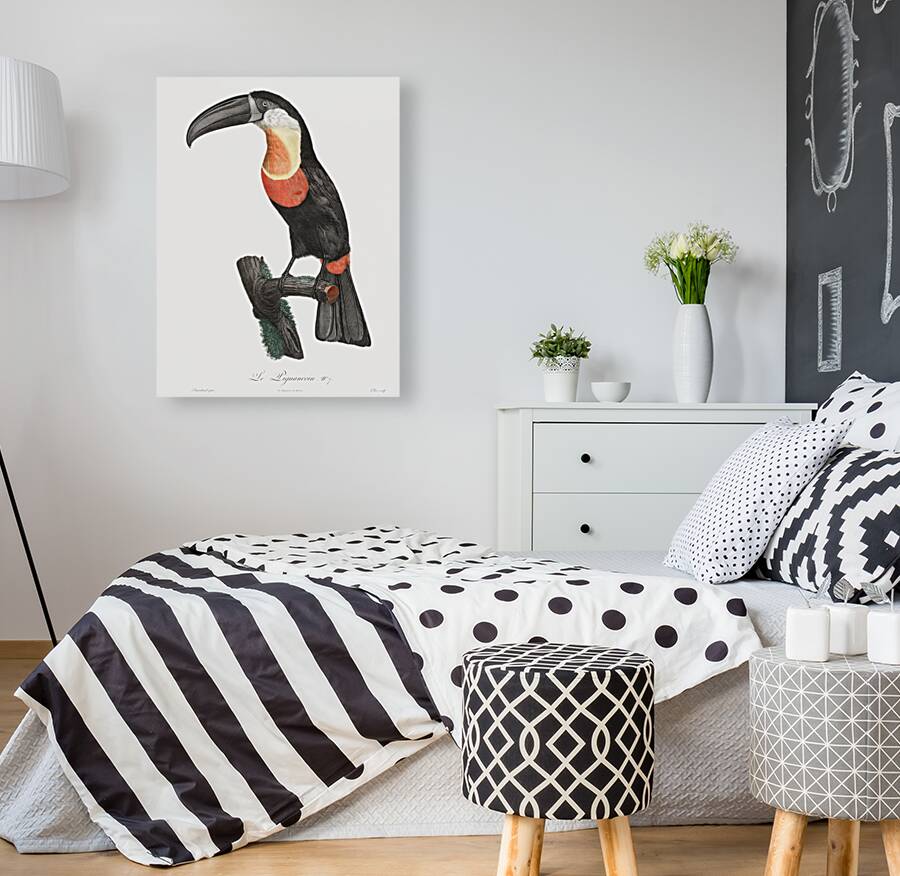 Green-billed toucan  Reproduction