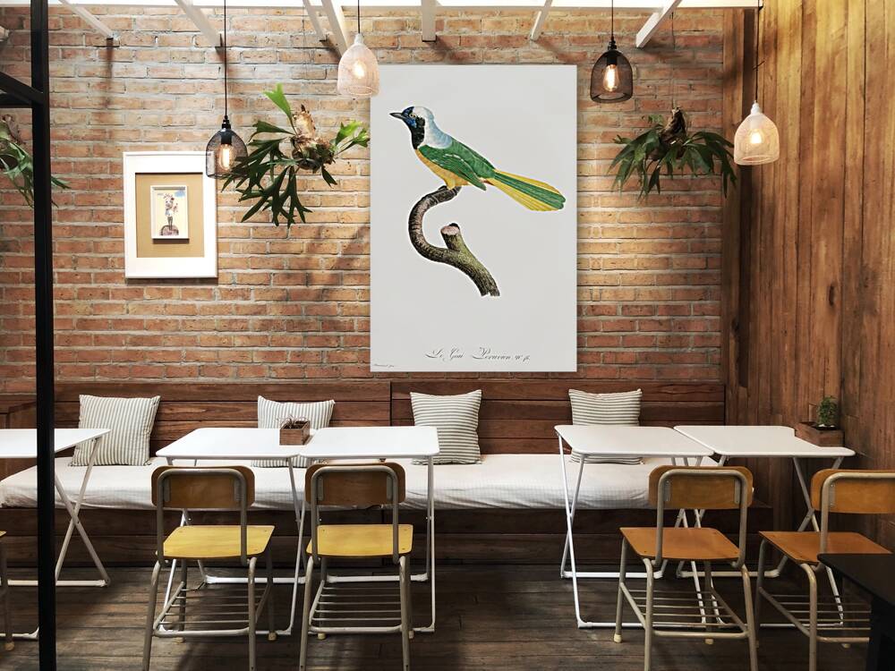 Different types of mollusks Reproduction