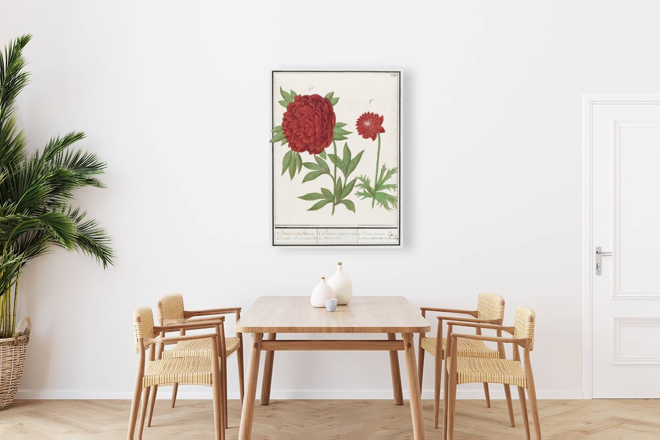 Peony and anemone in vintage style Reproduction