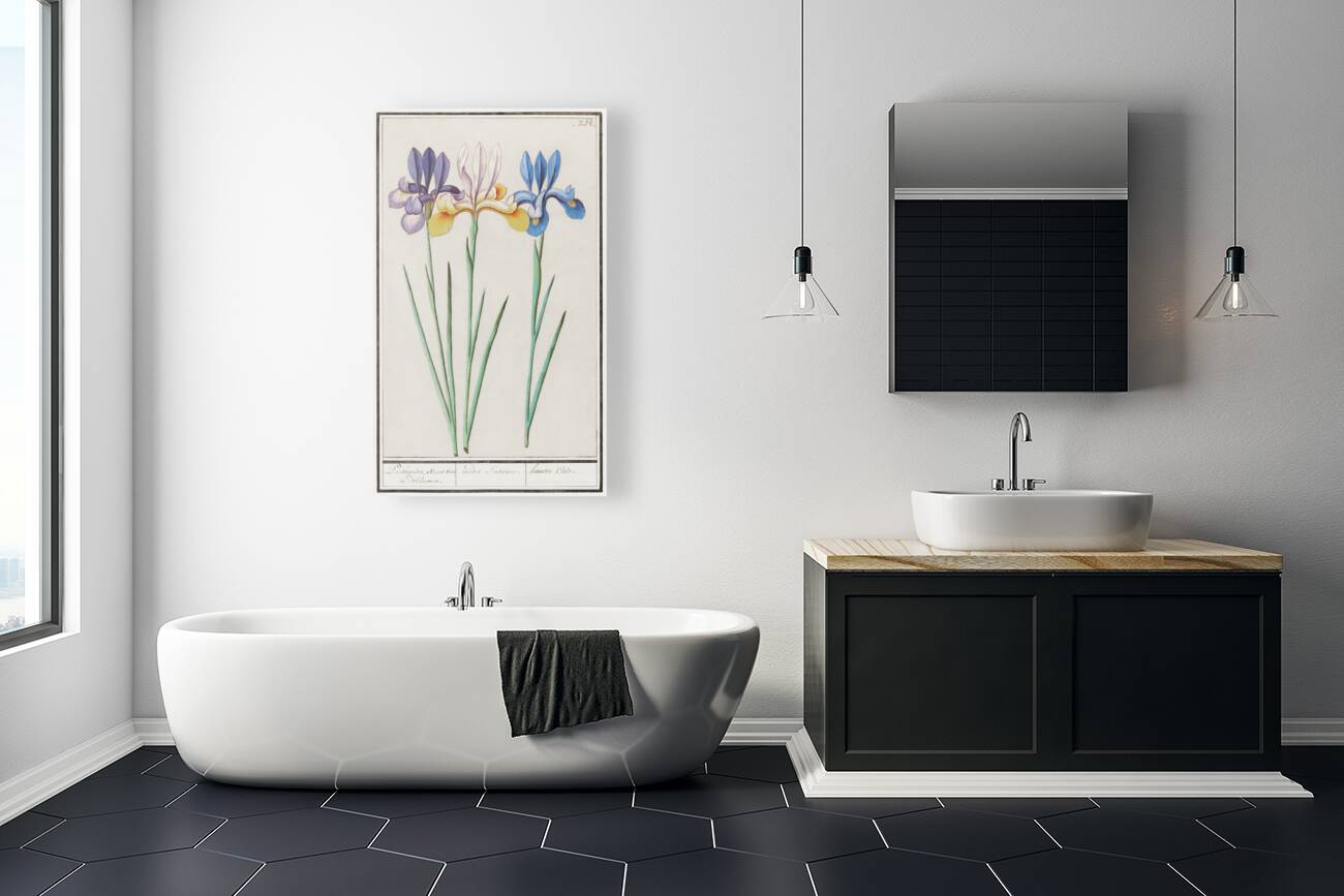 Iris in vintage style Reproduction