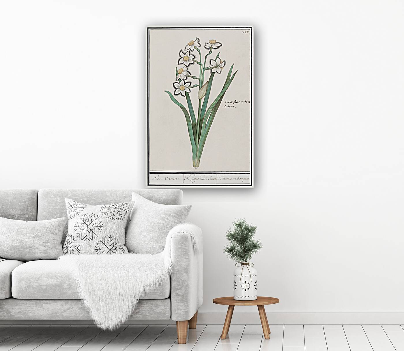 Iris in vintage style Reproduction