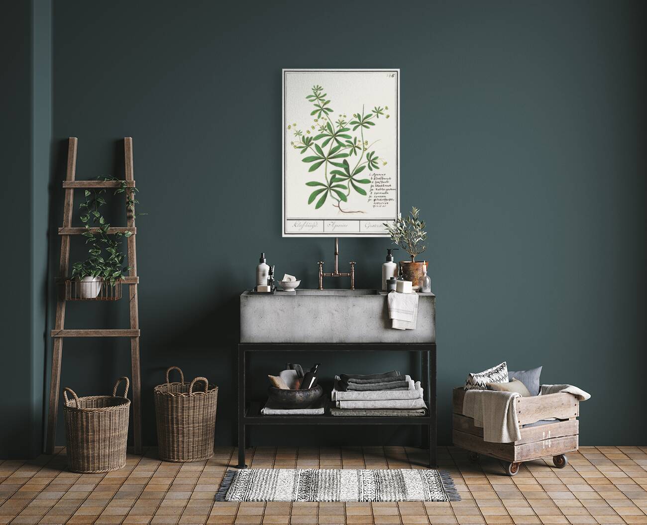 Cleavers plant in vintage style Reproduction