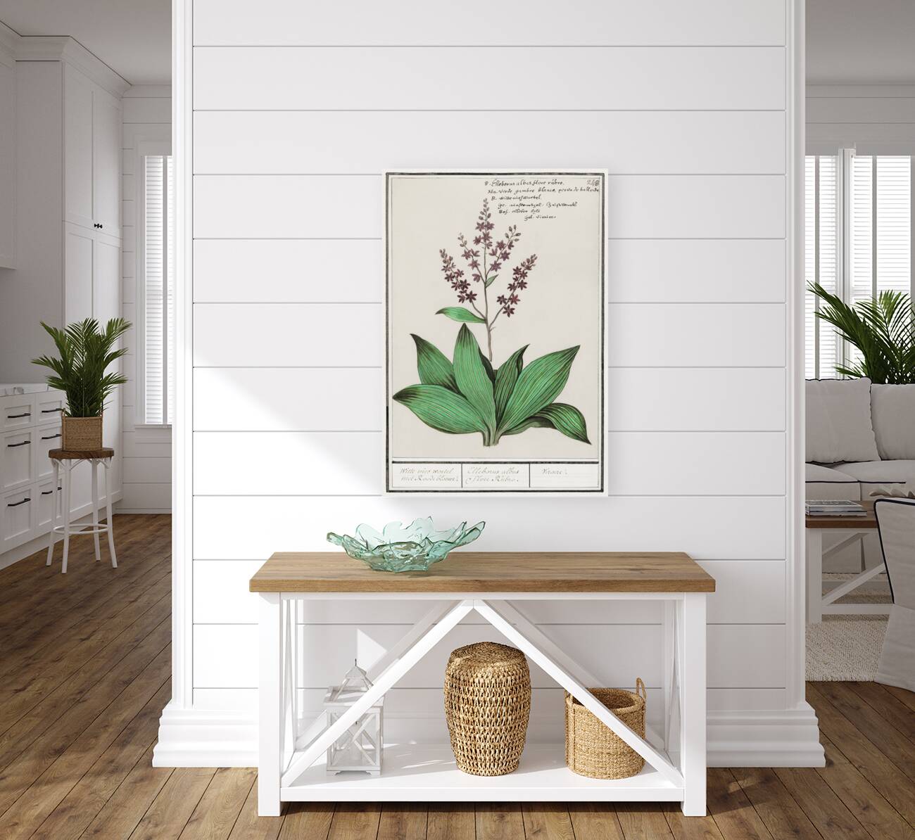 Black carrot flower Reproduction